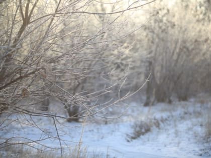 Что строго запрещается делать 9 января, в Степанов день