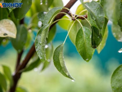 Жара вернется в Волжский 25 июля