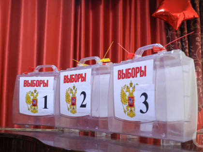 В Волгоградской области выборы признали состоявшимися, итоги - действительными