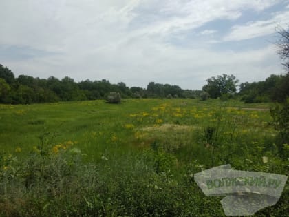 В Волгоградской области растёт активность клещей