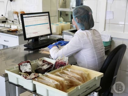 Волгоградские студенты организовали 20 донорских акций в 2023 году
