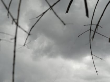 Еще не мороз. В Волгоградской области в ночь на 4 октября резко похолодает до нуля
