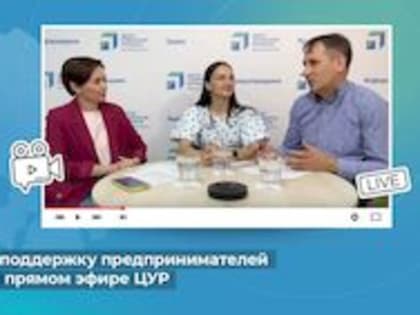 Грантовую поддержку предпринимателей