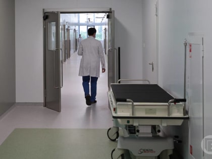 80 волгоградцев нашли на себе присосавшихся клещей