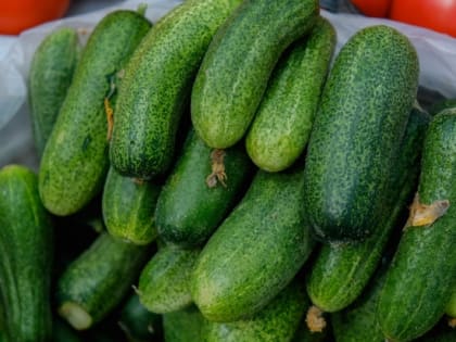 В Волгоградской области за неделю резко подорожали огурцы