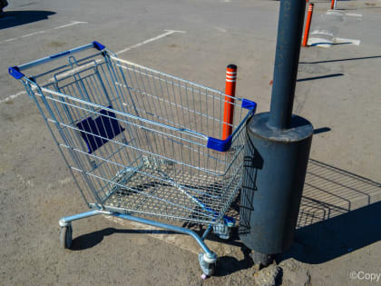 Масло, яйца, помидоры и огурцы дорожают в Волгоградской области