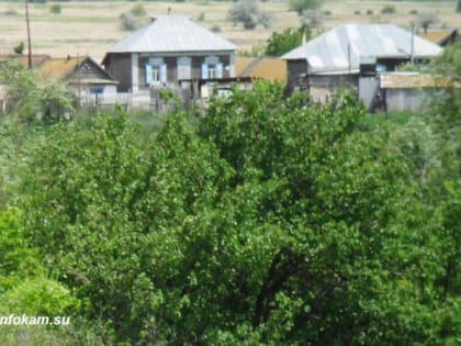 В Волгоградской области Киквидзенскому району хотят вернуть историческое название