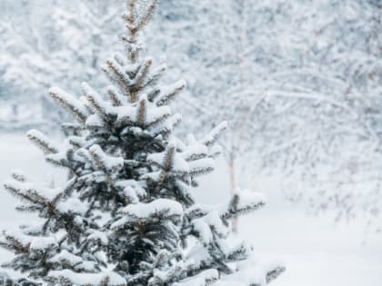 МЧС предупредило волгоградцев о гололеде и морозе до -26 °С 8 января