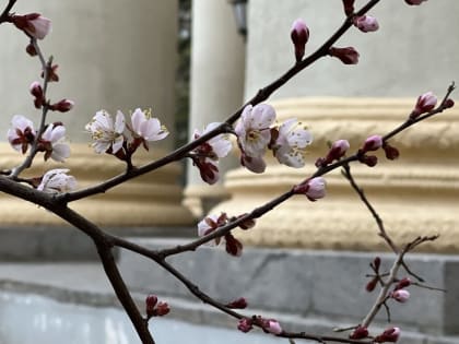 Волгоградцев ожидают теплые деньки