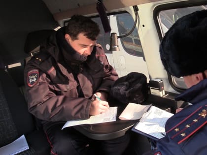 В Волгоградской области ищут пропавших подростков