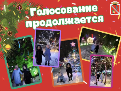 Голосование продолжается