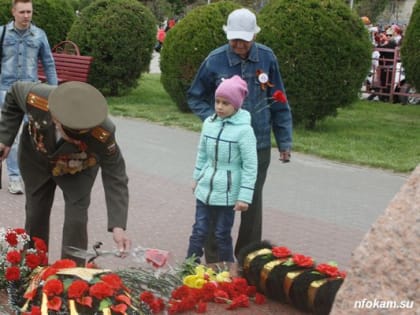 В Волгоградской области создан совет по вопросам патриотического и духовно-нравственного воспитания