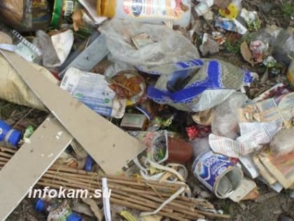 В Волгоградской области начали внедрять систему видеоконтроля за незаконным сбросом мусора