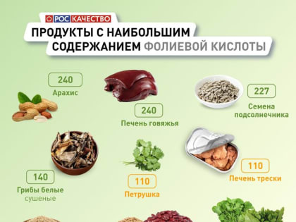 Продукты, богатые фолиевой кислотой