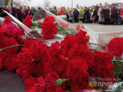 «Zа мир! Zа Родину! Zа Россию»: к юбилею Великой Победы в Волжском запланированы более 50 мероприятий