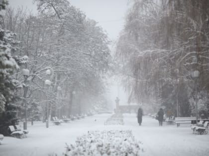 МЧС предупредило жителей Волгоградской области о снеге и метели 6 января