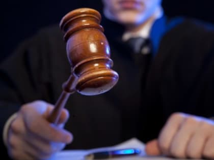 В Волгоградской области суд удовлетворил очередной иск матери укушенного собакой ребенка