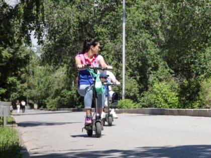 В Волгограде СК изъял с улиц прокатные самокаты