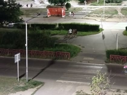 В Камышине перестал работать новый проекционный светильник для пешеходного перехода