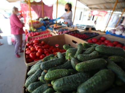 В Волгограде обсудили обоснованность резкого подорожания огурцов