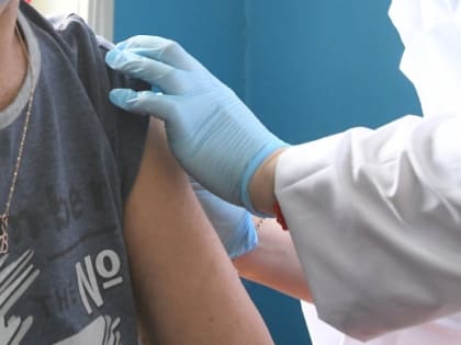 В Волгоградской области 2502 человека пострадали от укусов клещей