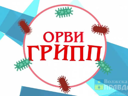 Жителям Волжского напоминают о мерах профилактики ОРВИ и гриппа