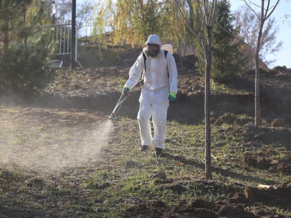 С начала весны 115 волгоградцев покусали клещи