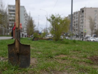 Школьникам помогут получить работу летом в Волгоградской области