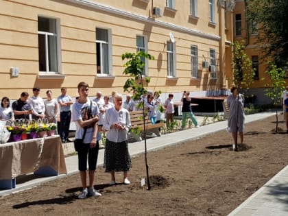 Волгоградские медики заложили аллею в честь профессионального праздника 