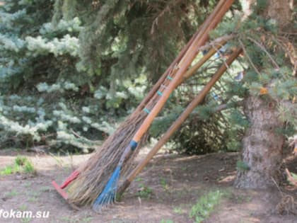 За такие деньги учители возьмут мётлы. Владимиру Путину рассказали о зарплатах дворников