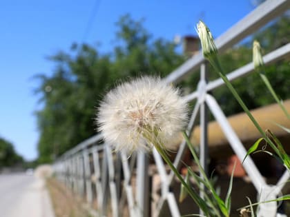 Новая неделя в Волгограде начнется с похолодания