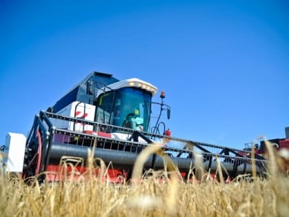 Волгоградский АПК вышел в лидеры благодаря труду аграриев и господдержке