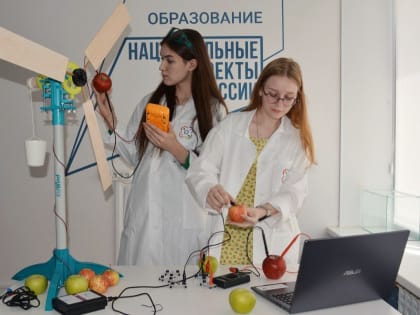 Специалисты ВГСПУ разрабатывают  онлайн-курс «Сетевой физический класс»