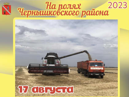 Завершена уборка зерновых культур