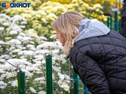 Нельзя стричь ногти: приметы в Волжском