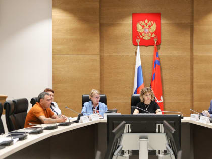 Профильный комитет рассмотрел законопроект о народных художественных промыслах