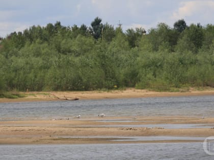 Под Волгоградом сбежавшего из лагеря подростка нашли мертвым