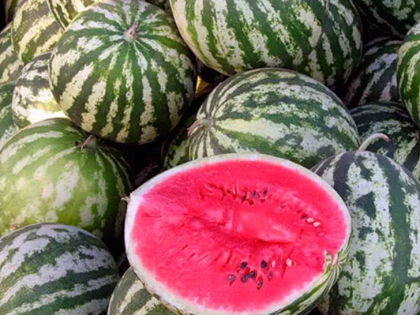 В Волжском проходят ежедневные рейды по пресечению несанкционированной торговли