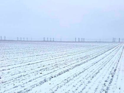 Волгоградские аграрии получили рекомендации для весенних полевых работ