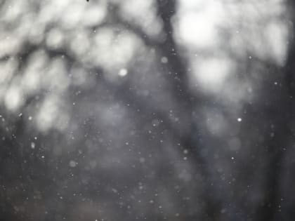 Дождь и гололедица при -5 ожидаются в Волгоградской области 19 декабря