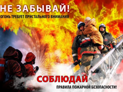 Действовать оперативно и без паники