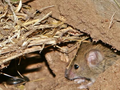 Жителям Волгоградской области рассказали, как спастись от смертельно опасного заболевания