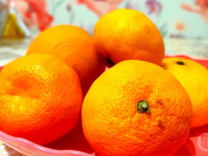 Апельсины способны вылечить сосуды, считает диетолог Стародубова