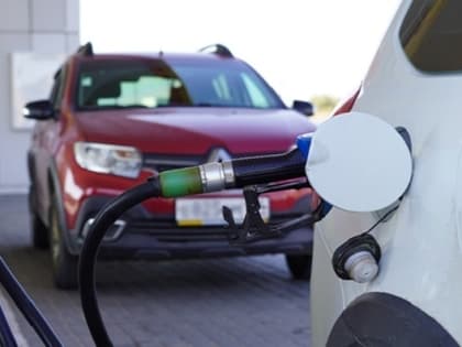 Видимо, это дно: в Волгоградской области замерли цены на бензин