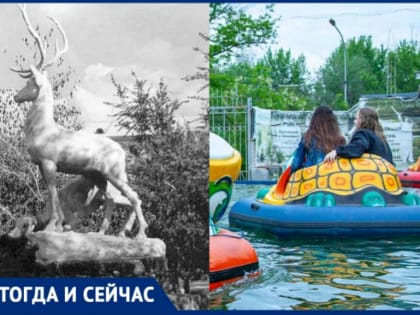 Возвращение «блудного» оленя планируется в парке «Гидростроитель» в Волжском