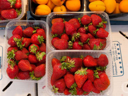 Врач объяснила, игнорирование каких продуктов грозит скорой старостью