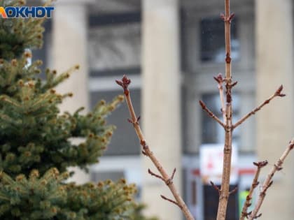 Настала пора пригласить гостей: приметы в Волжском