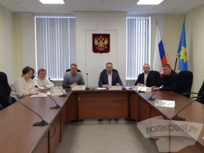 Мэрия Волжского не дает активистам землю под приюты для бродячих собак