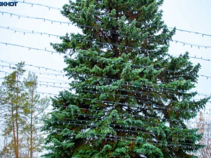 В Волжском будет пасмурно в понедельник: погода