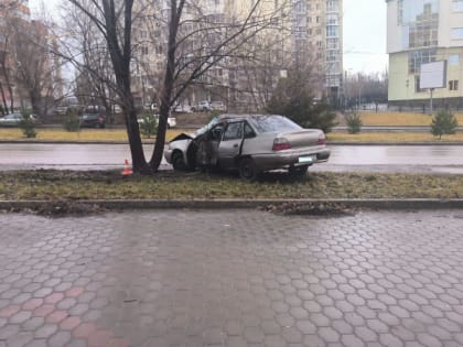 В центре Волгограда молодой водитель протаранил дерево